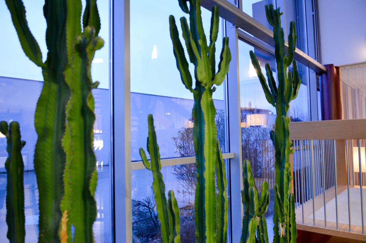 טולן Hotel Roemerhof מראה חיצוני תמונה